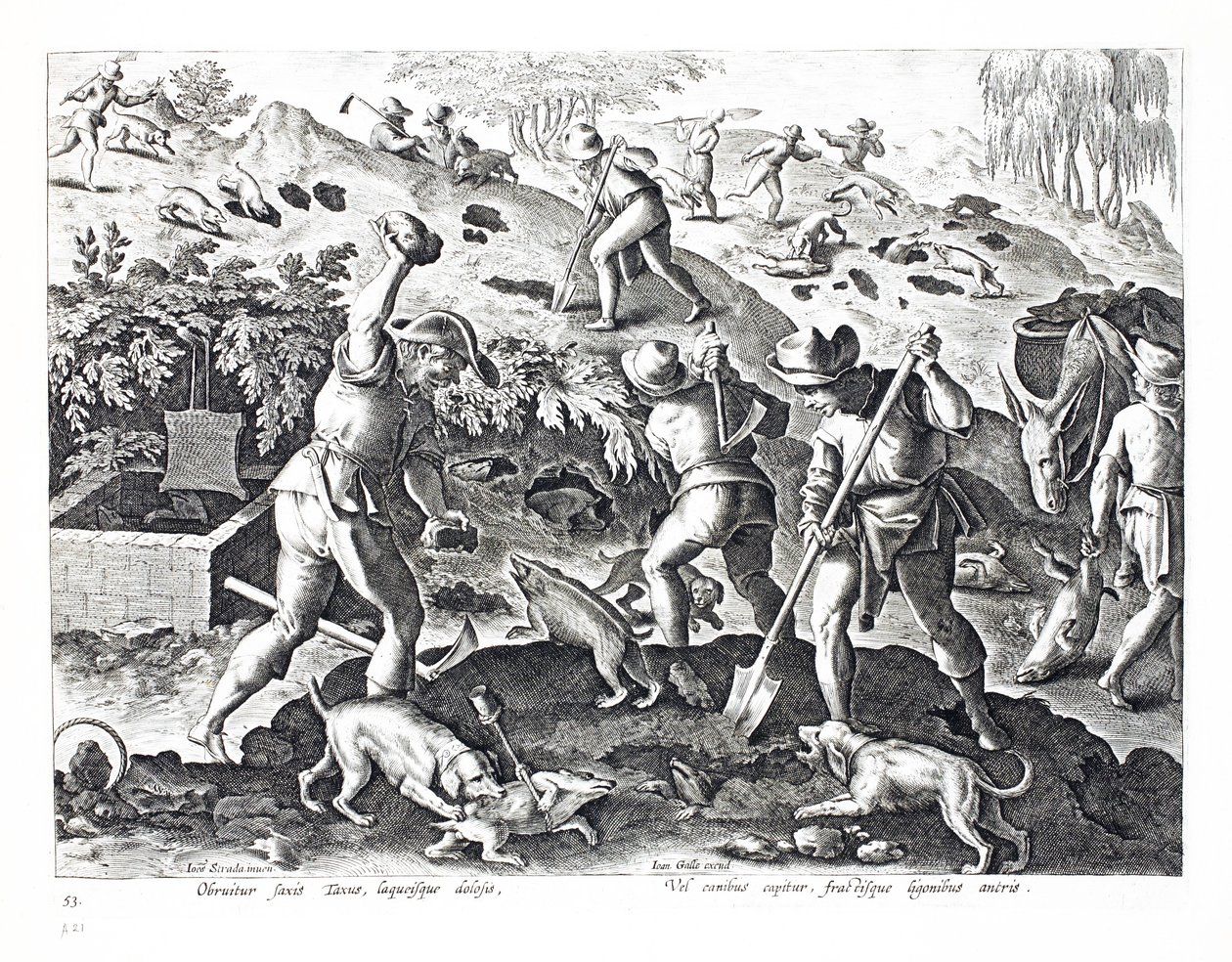 बैडर्स को खोदकर बाहर निकालना, &39;कोलाजेशन, फेरारम, एवियम, पिस कैल्शियम&39; (हंटिंग: वाइल्ड बीस्ट्स, बर्ड्स, फिश) से लिया गया चित्रण, पीयू कोलार्ट (1566-1628) द्वारा उकेरा गया। फिलिप गैलस, एम्स द्वारा द्वारा जन वैन डर स्ट्रेट