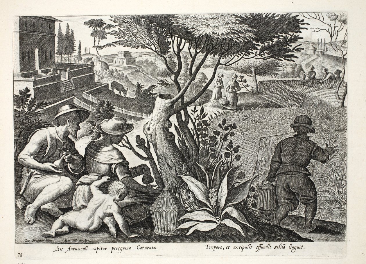 हंटिंग क्वेल, &39;कोलालेशन, फेरम, एवियम, पिस कैल्शियम&39; (हंटिंग ऑफ द हंटिंग: वाइल्ड बीस्ट्स, बर्ड्स, फिश) का चित्रण, जन कोलार्ट (1566-1628), पब द्वारा उत्कीर्ण। फिलिप गैलस, एम्स्टर्डम द्वारा द्वारा जन वैन डर स्ट्रेट
