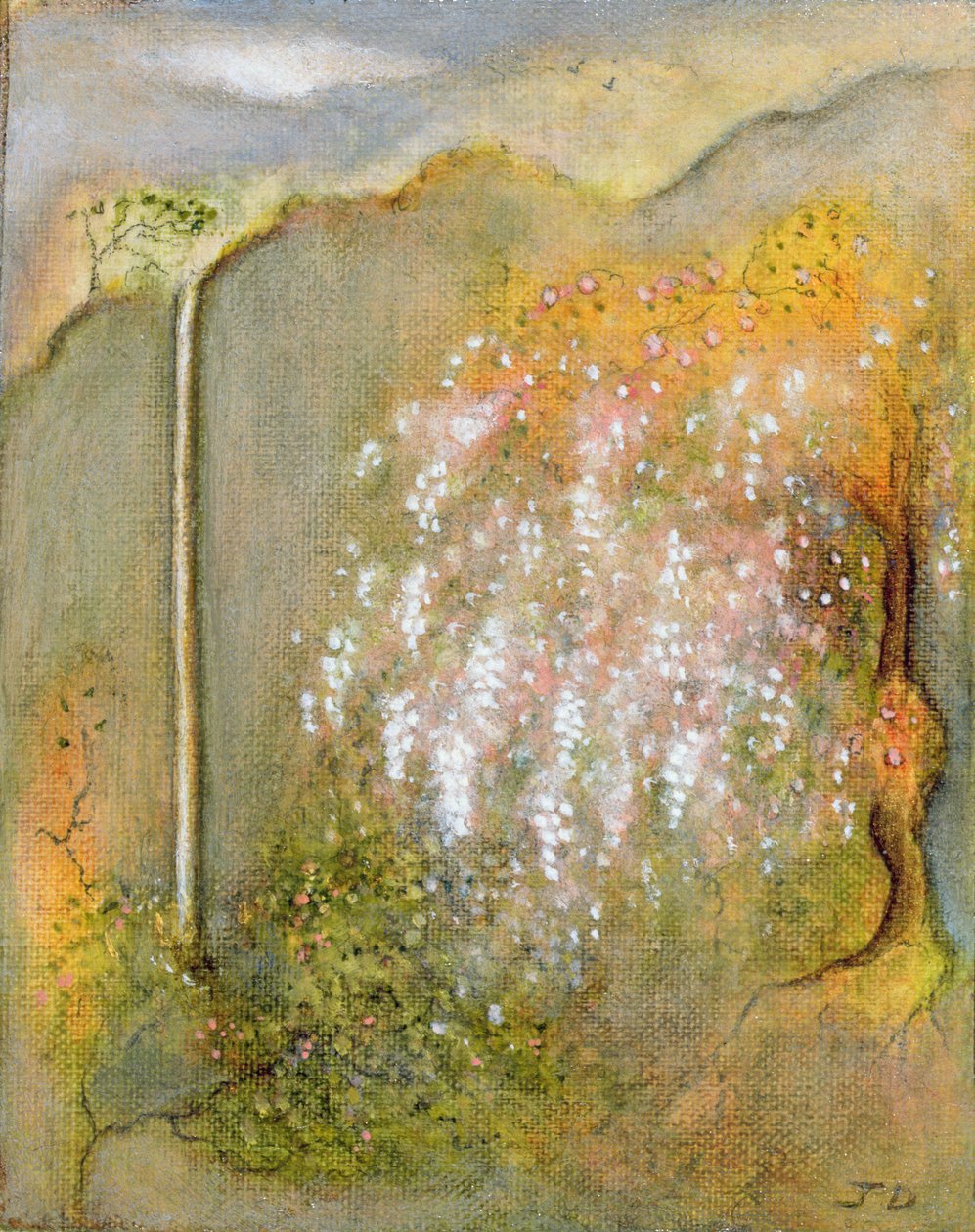 व्हाइट विस्टरिया, 2001 द्वारा जेन डीकिन