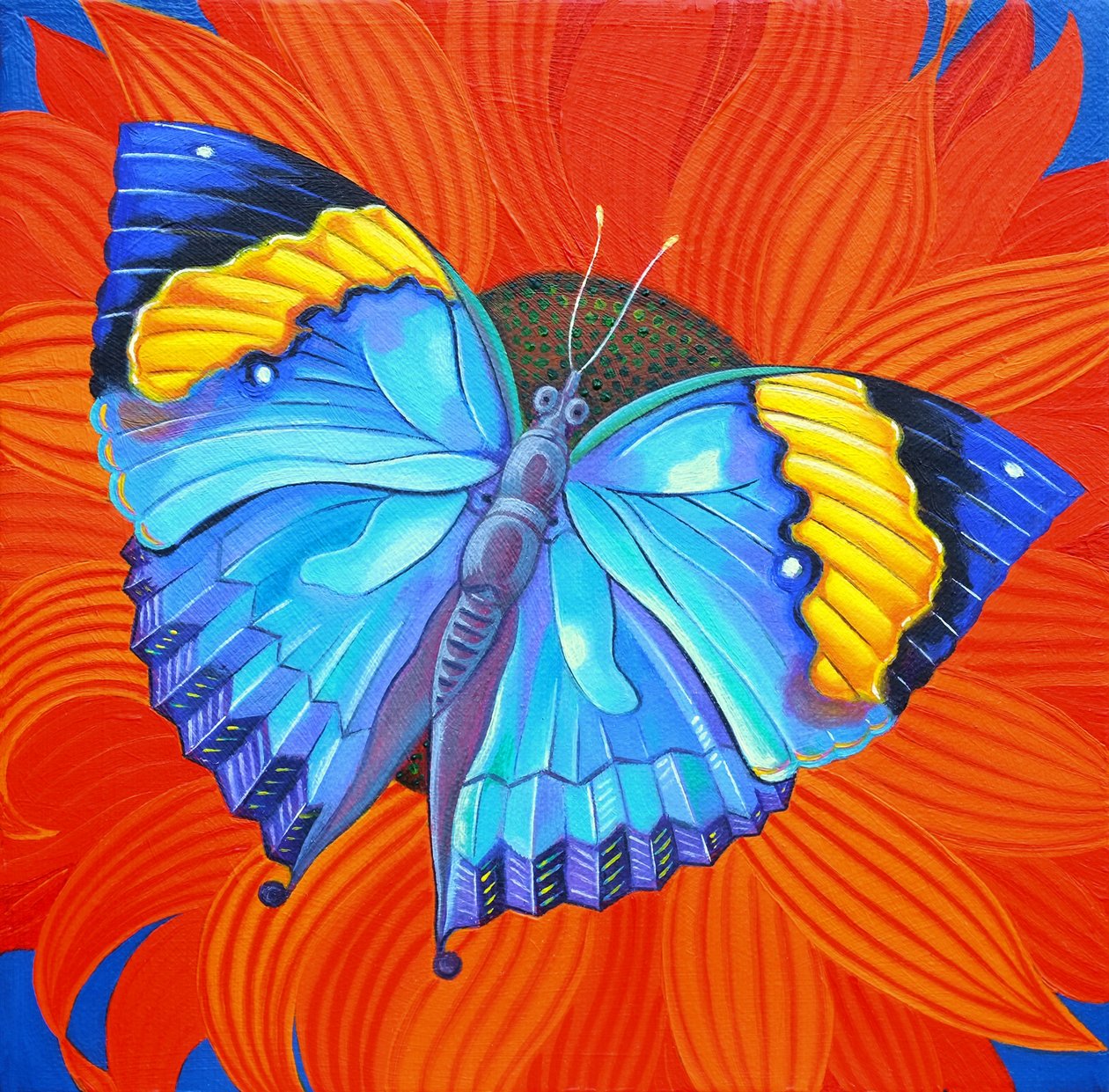 भारतीय पत्ता तितली, 2014, द्वारा जेन टैटर्सफ़ील्ड