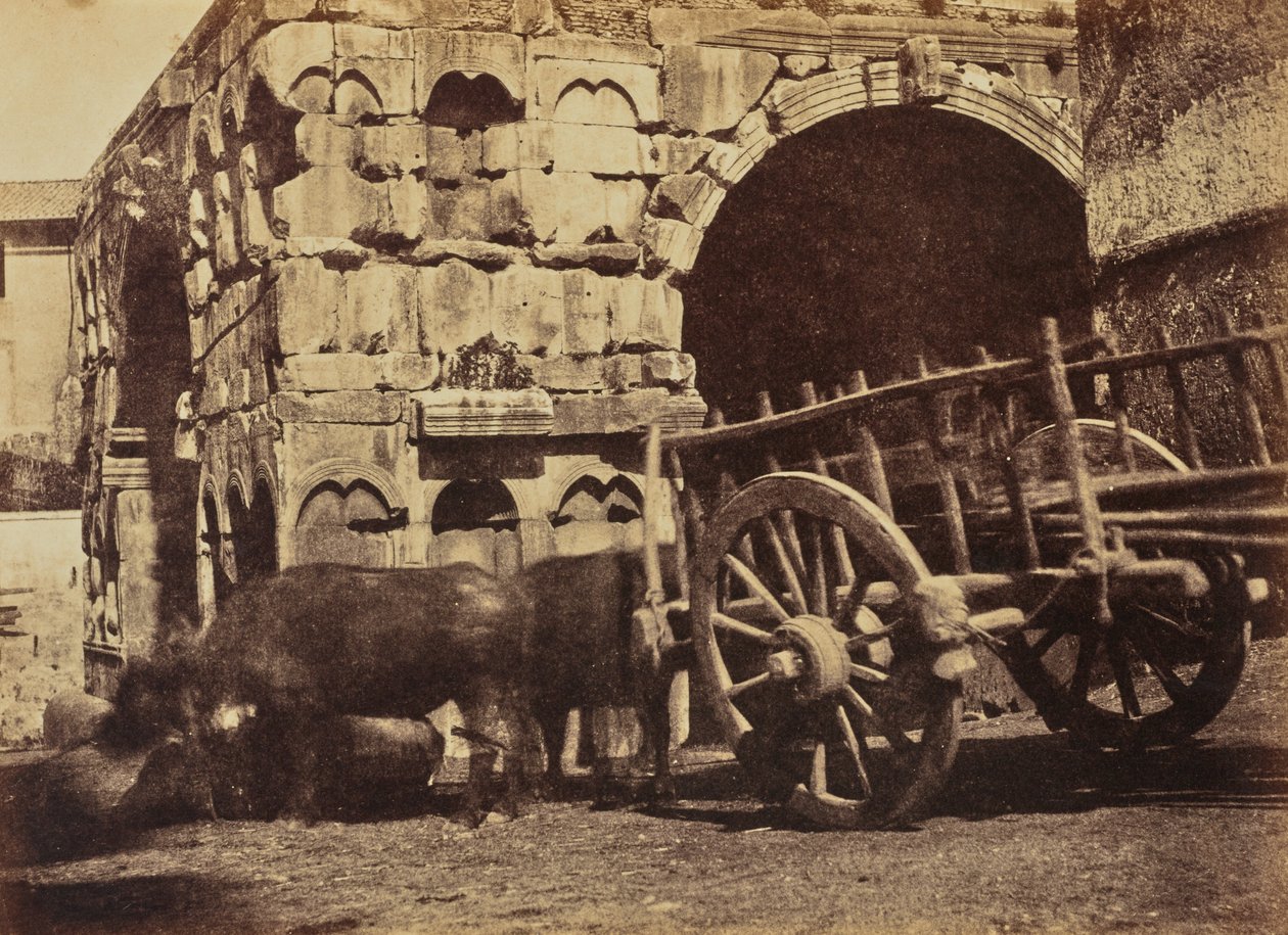  द्वारा जेन मार्था सेंट जॉन