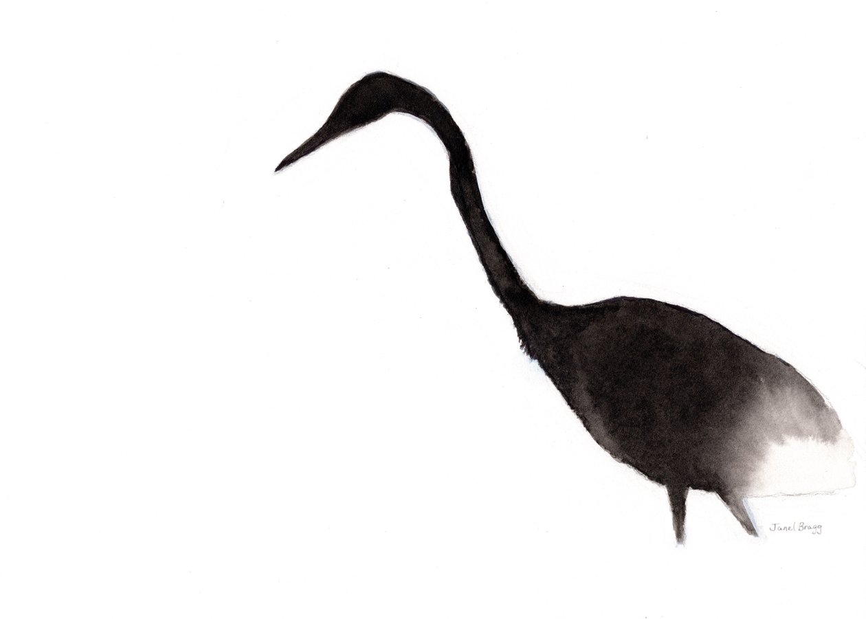  द्वारा जेनेल ब्रैग