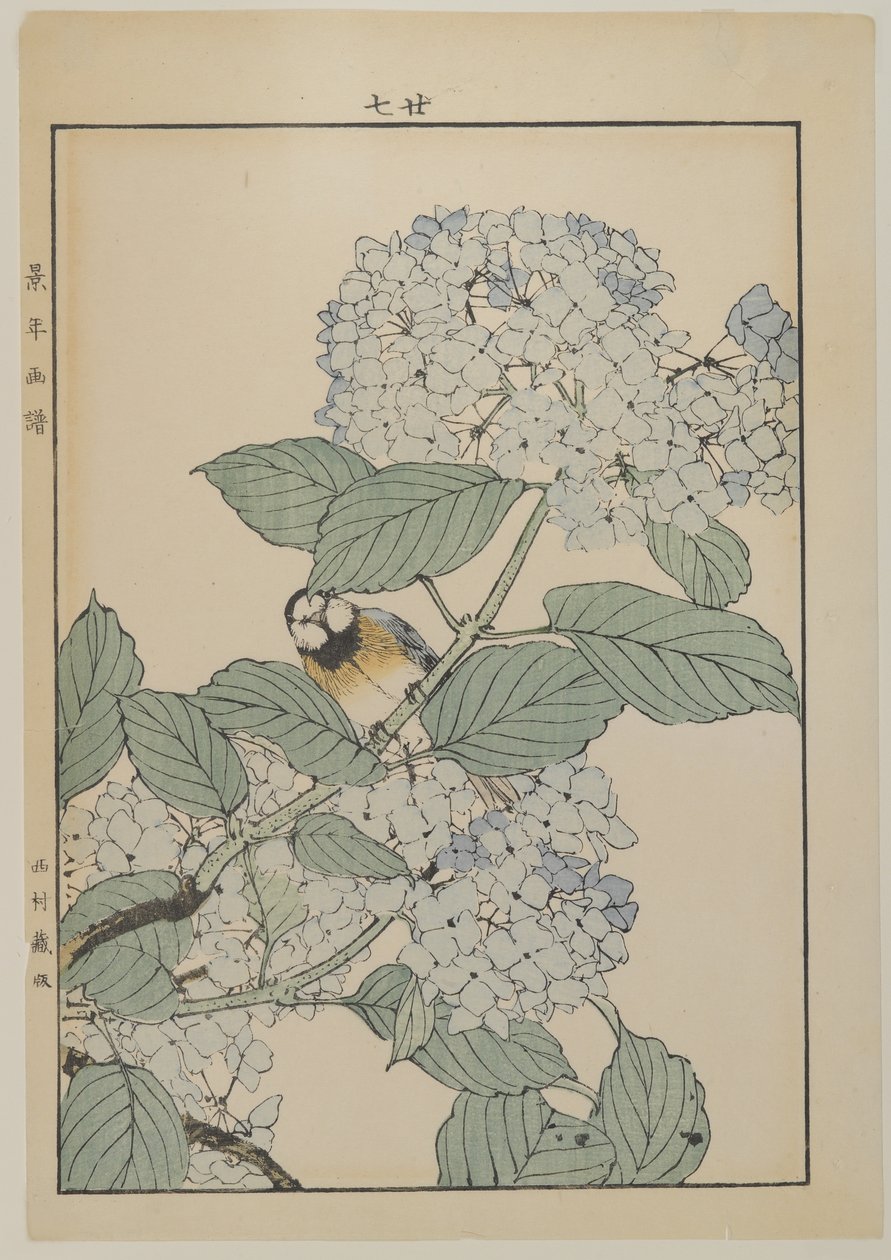 बर्ड विद हाइड्रेंजिया, मीजी पीरियड, c.1868-1912 (कलर वुडब्लॉक प्रिंट) द्वारा जापानी स्कूल