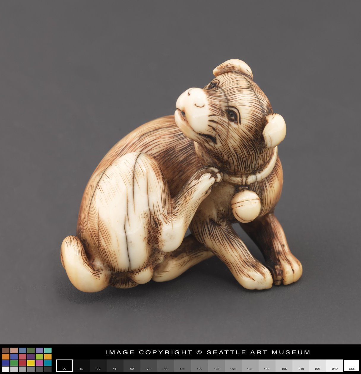 Netsuke ने अपनी गर्दन को खरोंचते हुए एक कुत्ते के रूप में मॉडलिंग की द्वारा जापानी स्कूल