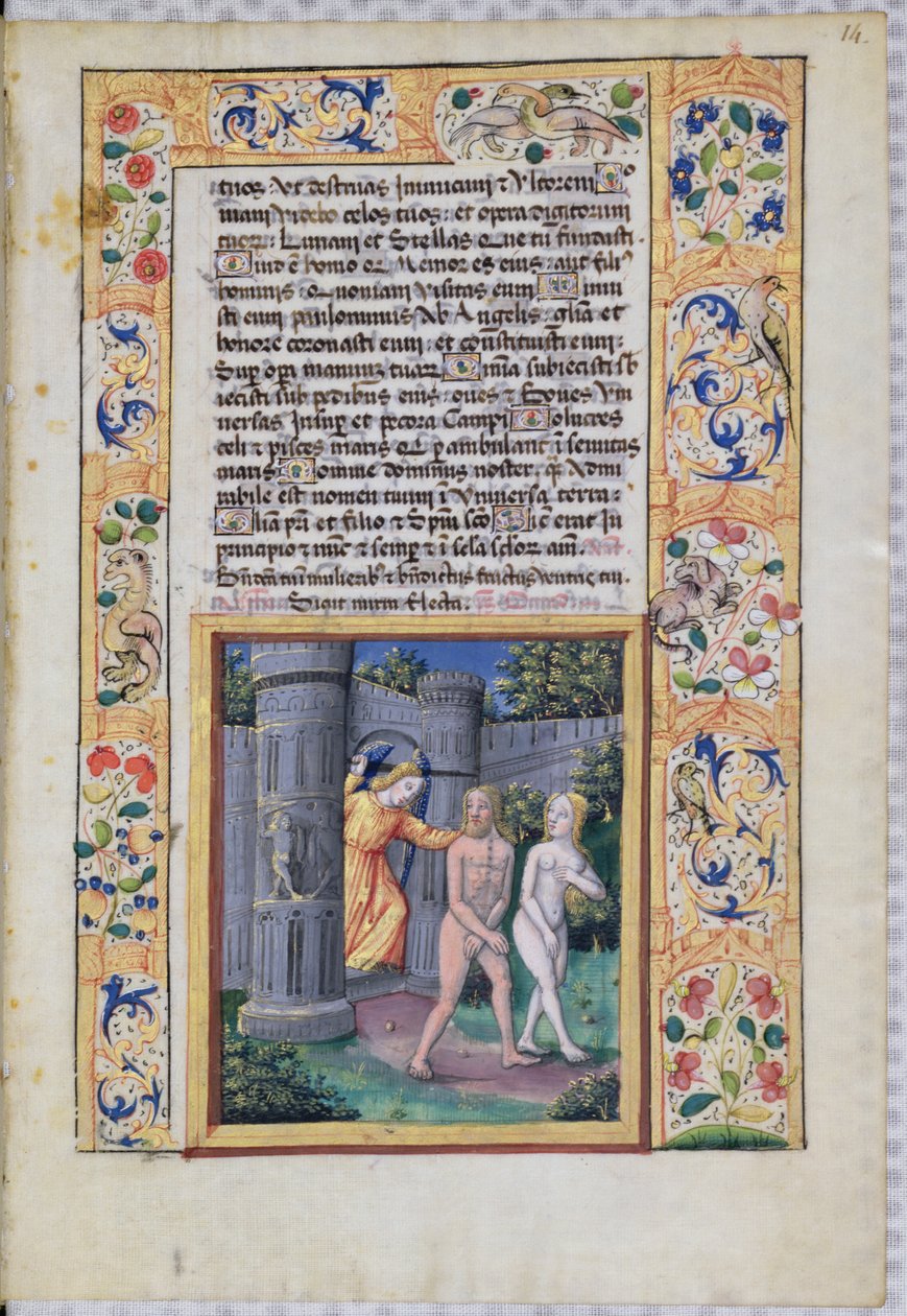 सुश्री लाट। QvI126 fol.14 ईडन गार्डन से निष्कासन, &39;बुक ऑफ ऑवर ऑफ लुई डी&39;अर्लियंस&39;, 1490 से द्वारा जीन कोलम्बे