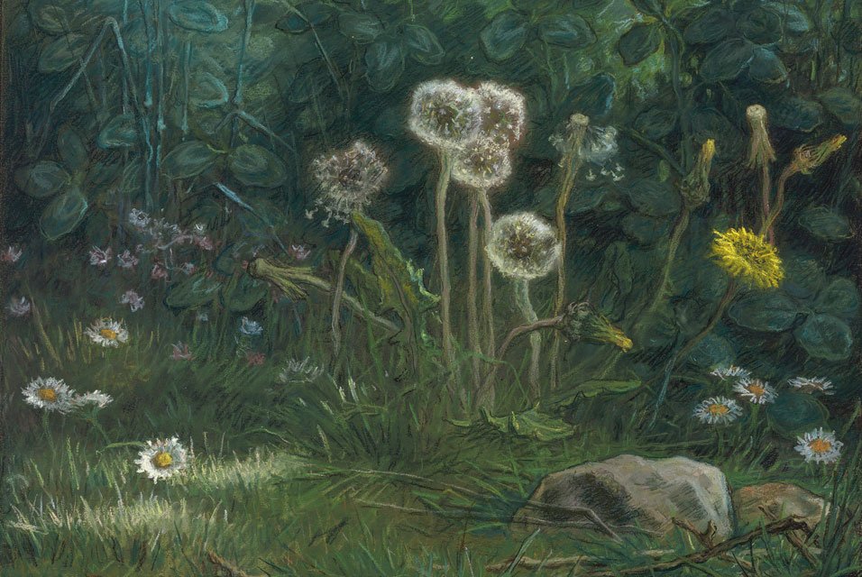 dandelions द्वारा जीन फ्रेंकोइस बाजरा