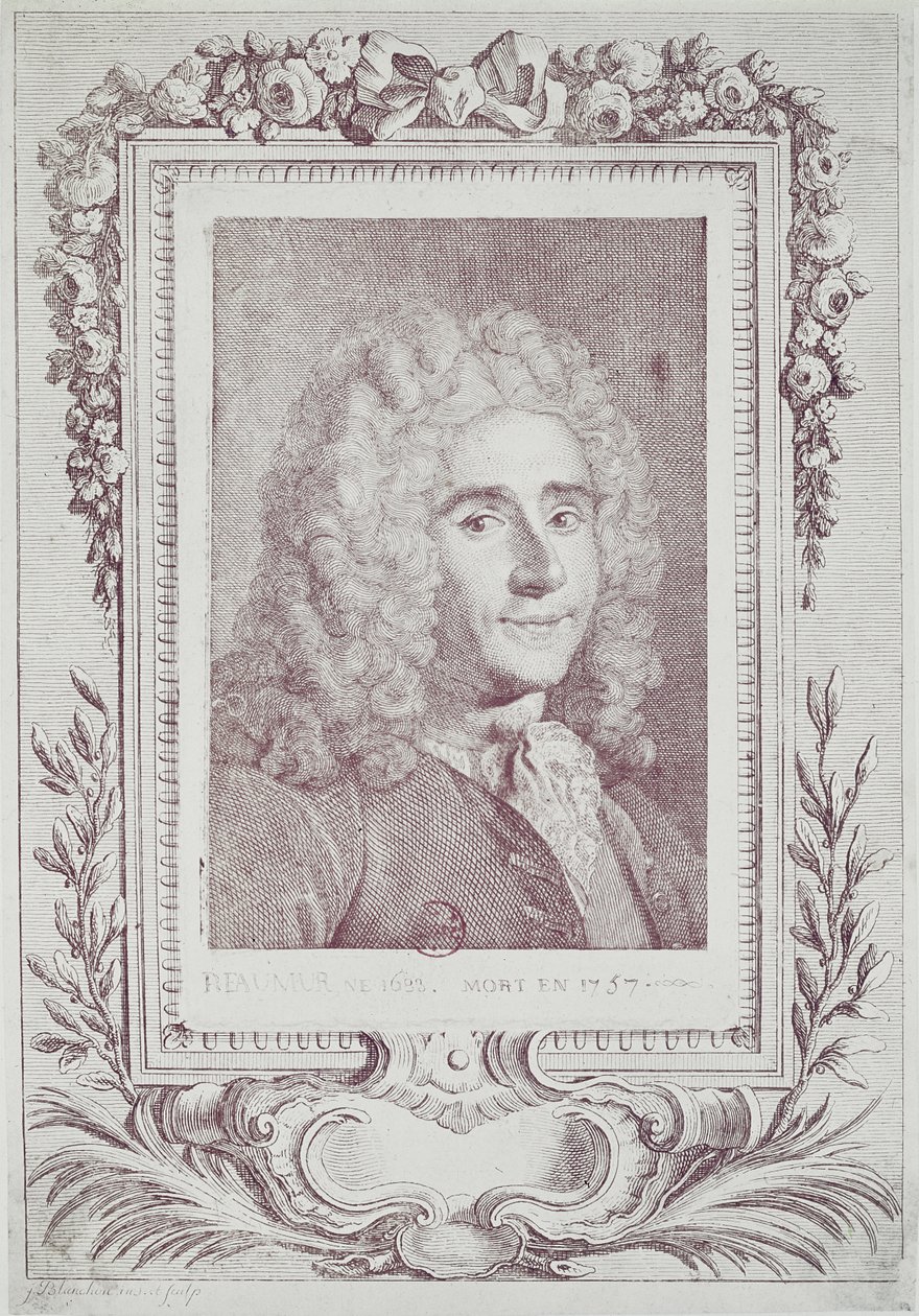 रेणु एन्टोनी फेरचौल ऑफ़ रीमूर (1683-1757) द्वारा जीन गिलियूम ब्लांचन