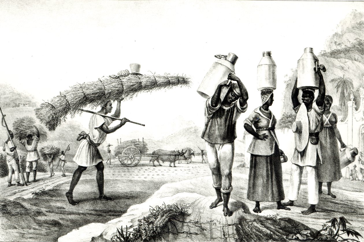 दूध और कैपिम विक्रेता, 'ब्राजील की सुरम्य और ऐतिहासिक यात्रा' से द्वारा जीन बैप्टिस्ट (बाद) डेब्रेट