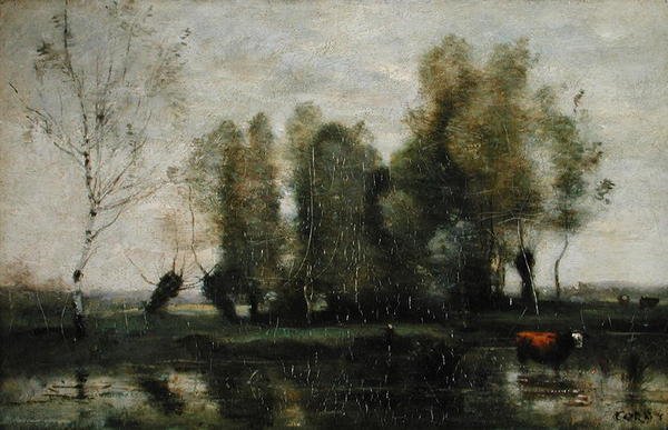 मार्शी लैंडस्केप में पेड़, c.1855-60 (कैनवास पर तेल) द्वारा जीन बैप्टिस्ट केमिली कोरोट