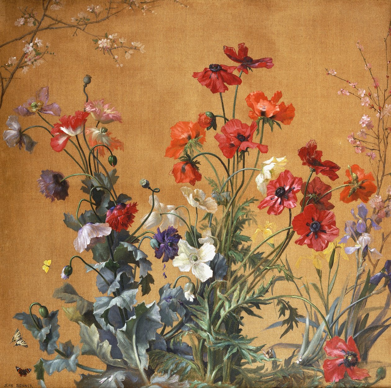 खसखस, Irises और खिलना, द्वारा जीन बेनर