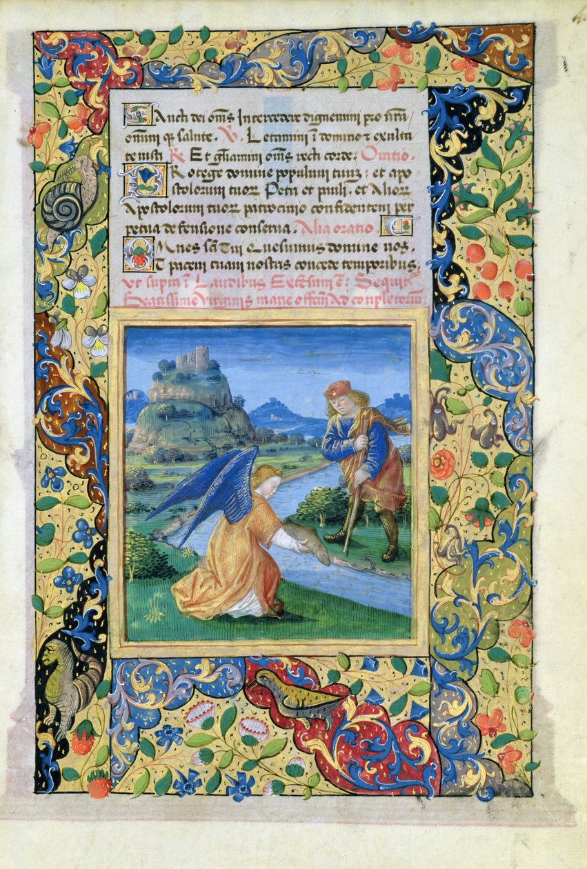 सुश्री Lat.QvI126 f.40 टोबीस एंड द एंजल, ऑफ द बुक ऑफ ऑवर्स ऑफ लुई dOrleans, 1469 द्वारा जीन कोलम्बे