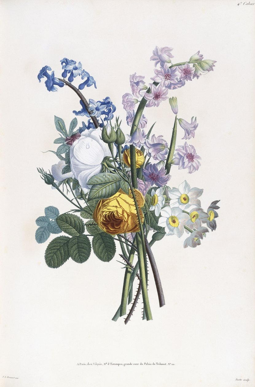 Narcissi, Rosa, Hyacynth, 1805 द्वारा जीन लुइस प्रीवोस्ट