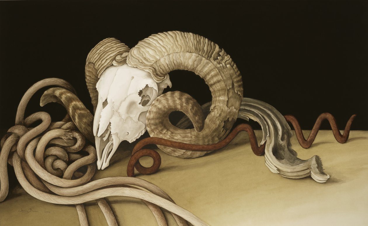 Vanitas, 2004 (wc कागज पर) द्वारा जेनी बैरन