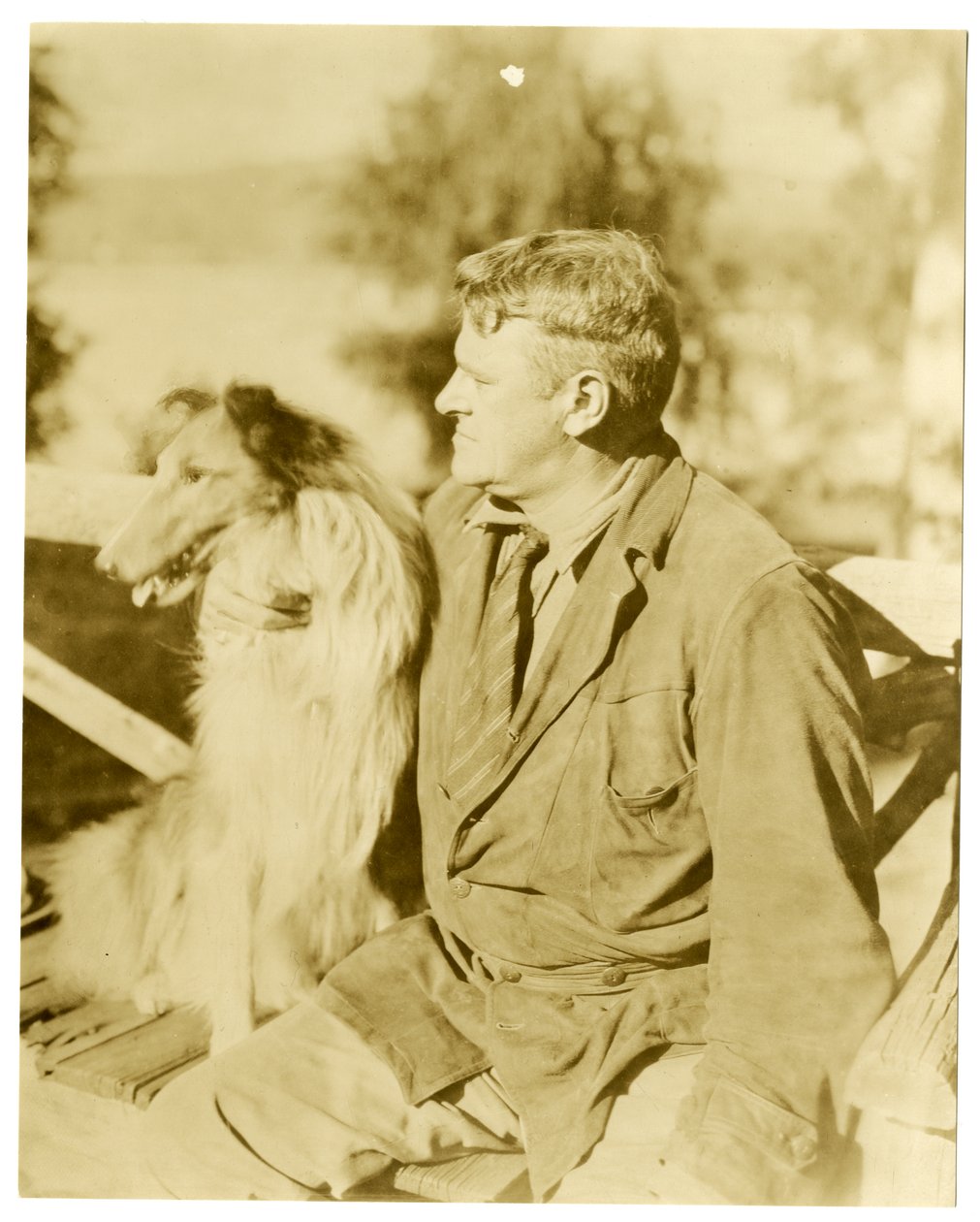 अल्बर्ट पैसन टेरह्यून, लेखक, c.1916-28 (जिलेटिन सिल्वर फोटो) द्वारा जेसी टार्बो बील्स