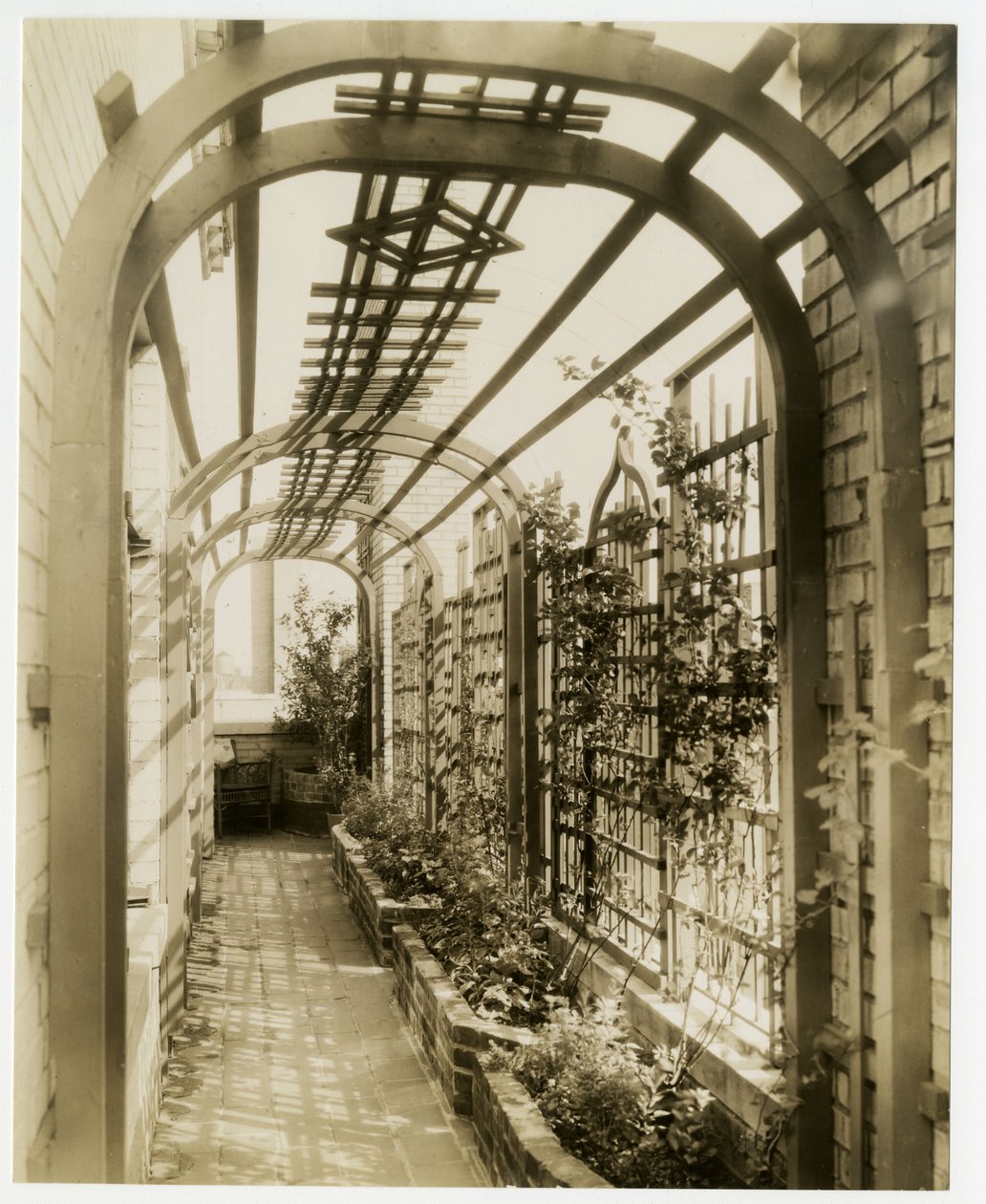 श्रीमती रेजिना जैस का बैक गार्डन, c.1936-37 (जिलेटिन सिल्वर फोटो) द्वारा जेसी टार्बो बील्स