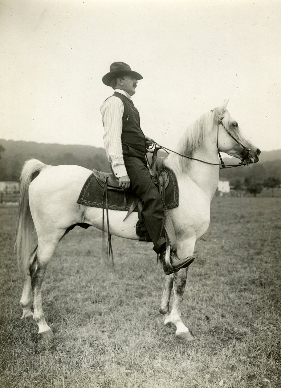 होमर डेवनपोर्ट कार्टूनिस्ट अपने अरबी घोड़े पर, c.1905-12 (जिलेटिन सिल्वर फोटो) द्वारा जेसी टार्बो बील्स