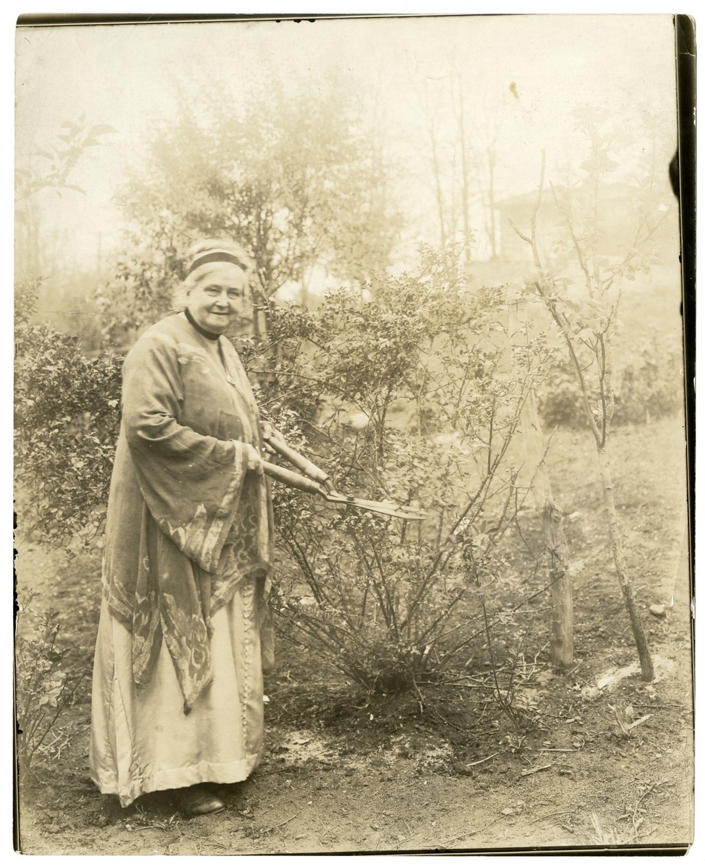 श्रीमती अल्ज़िरक हेविट वेड - 88 वर्ष - ओसिनिंग, एनवाई में बगीचे में, c.1905-28 (जिलेटिन सिल्वर फोटो) द्वारा जेसी टार्बो बील्स
