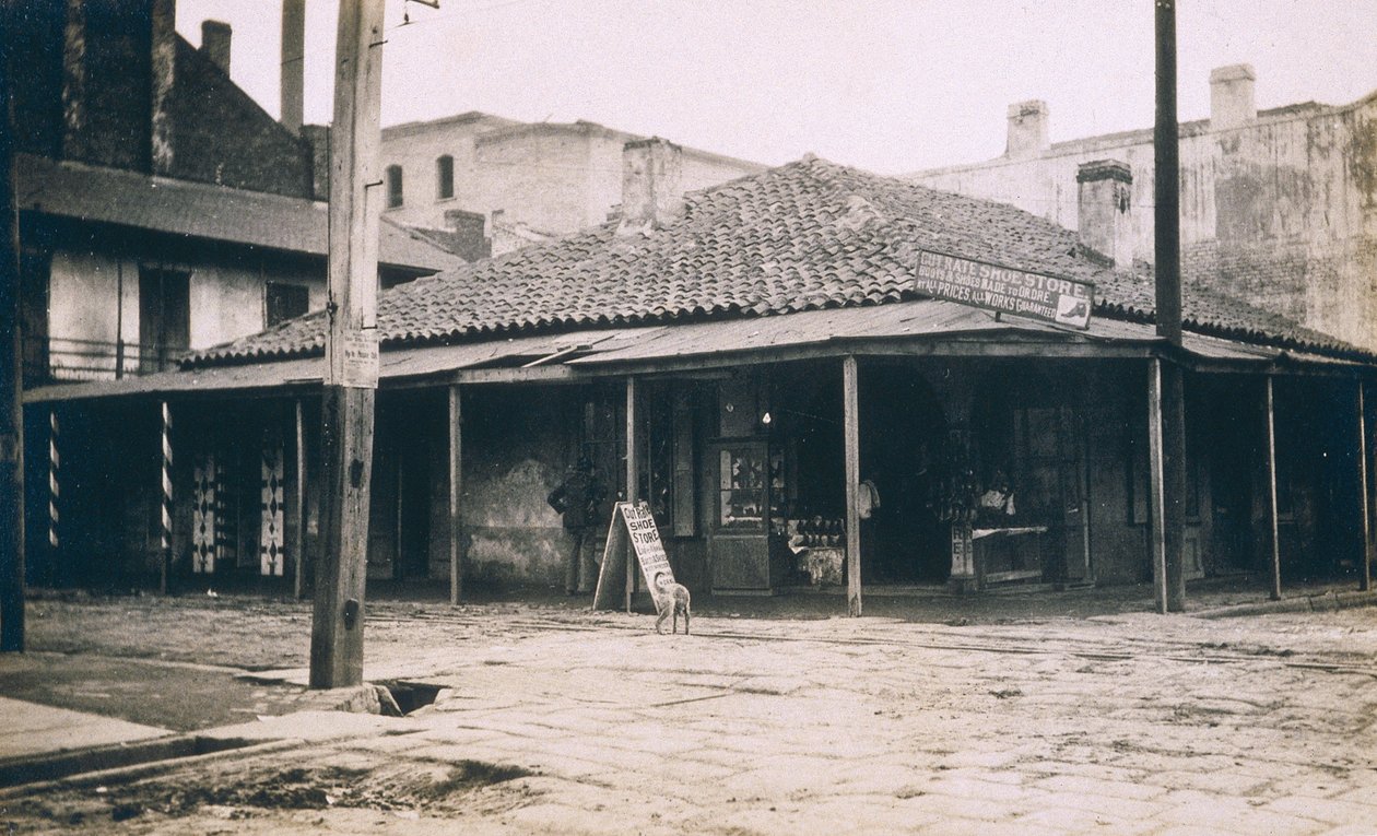 न्यू ऑरलियन्स, c.1905 द्वारा जेसी टार्बो बील्स