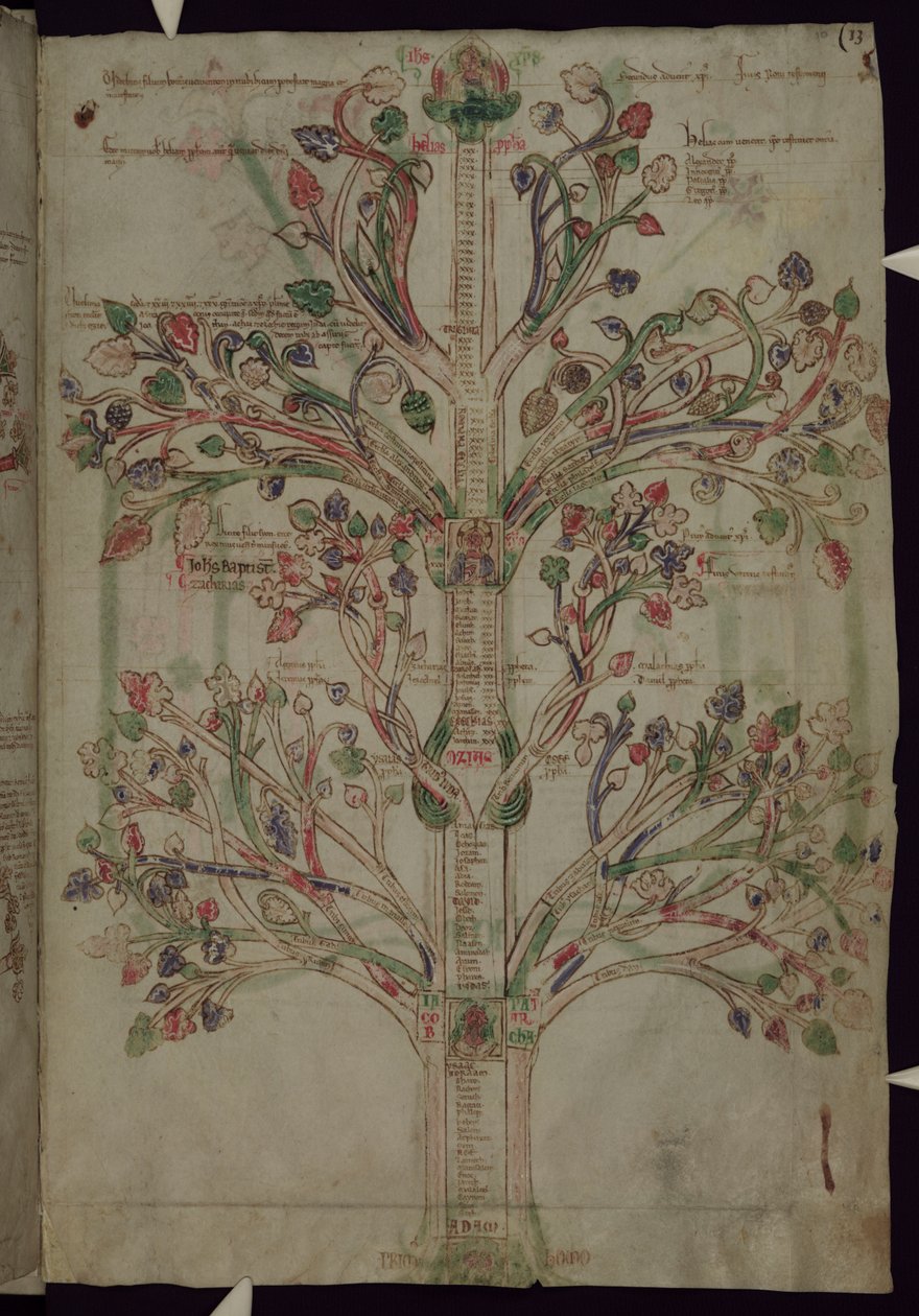 MS 255A fol.10r जीवन का पेड़, लिबर फियुराम से द्वारा फियोर का जोआचिम