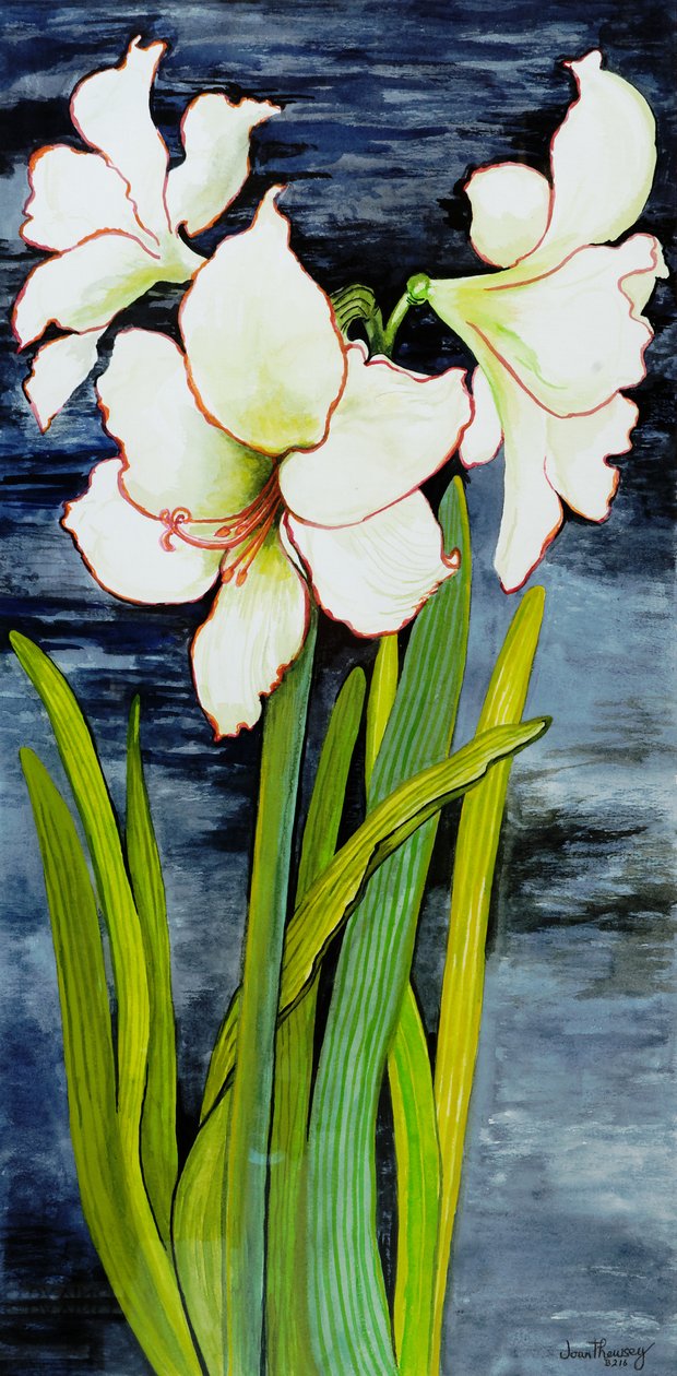 एक रात आकाश के खिलाफ Amaryllis द्वारा जोन थेवेसी