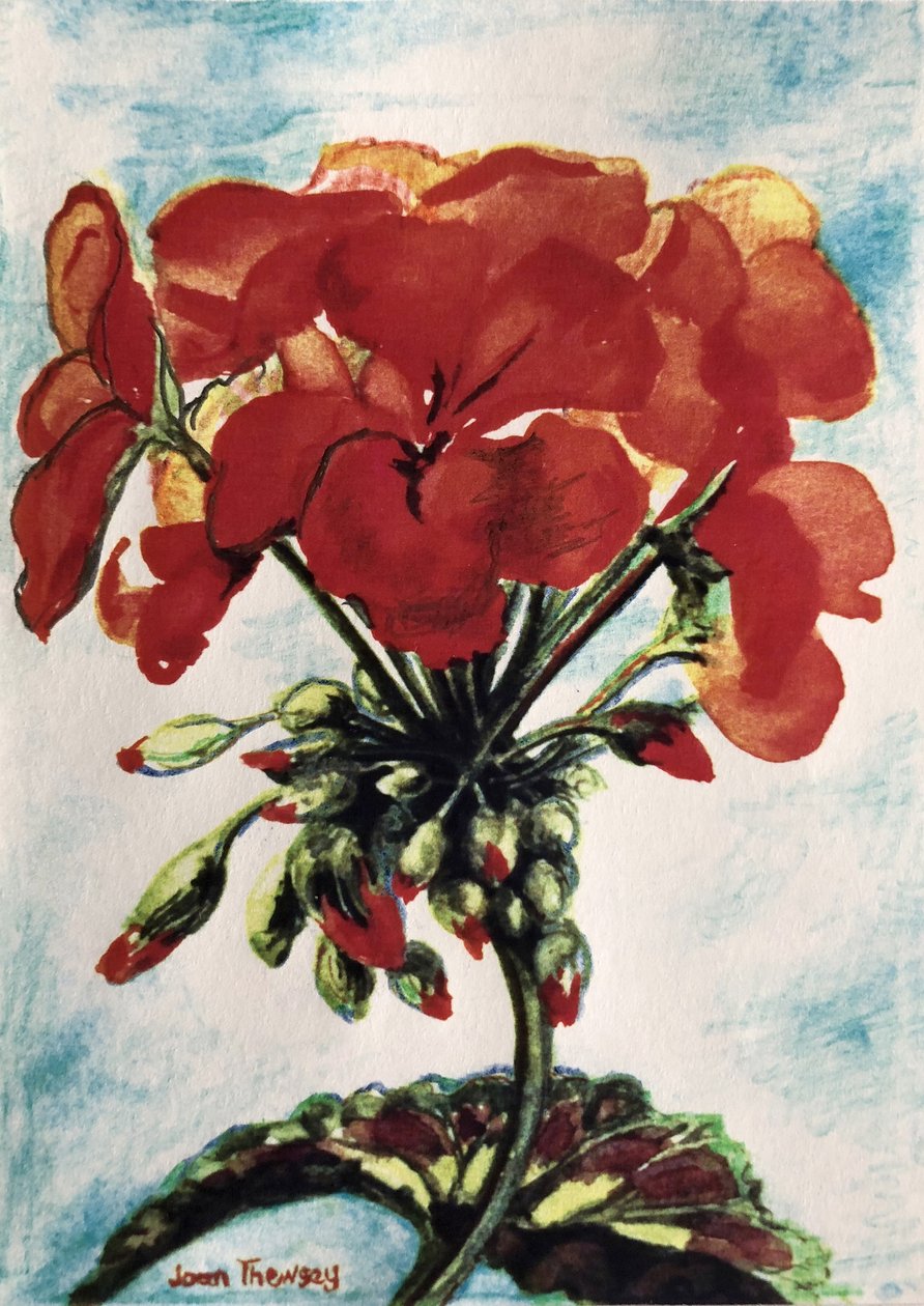 geranium, द्वारा जोन थेवेसी