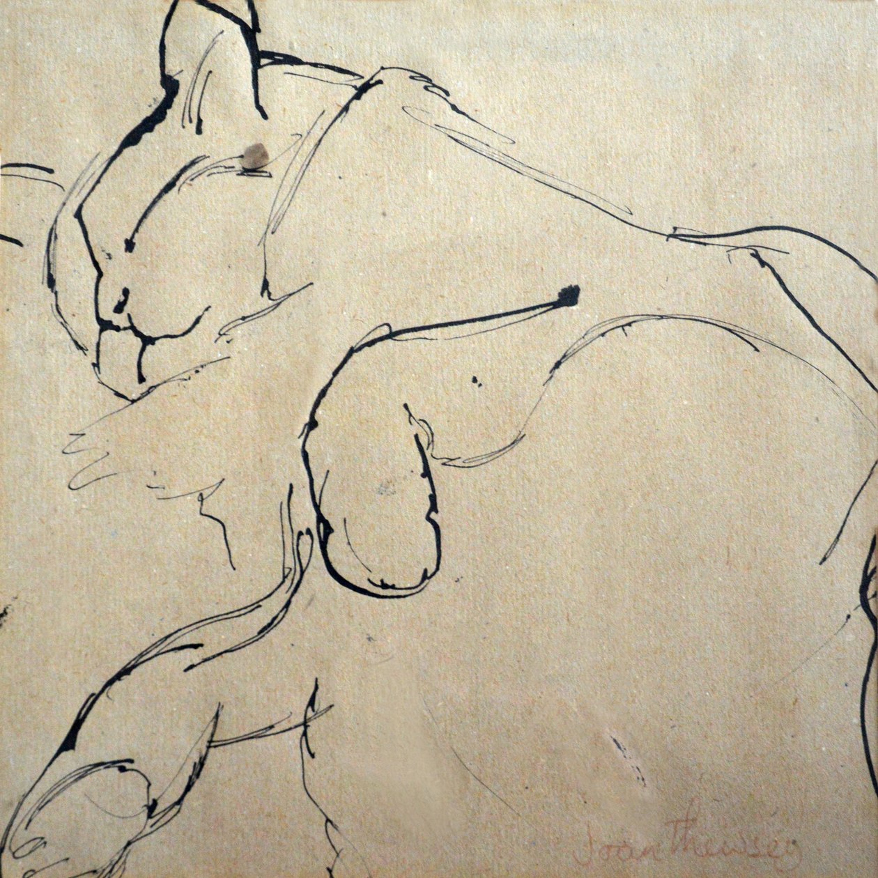 बिल्ली, मौसर, 1980, (कलम और स्याही) द्वारा जोन थेवेसी