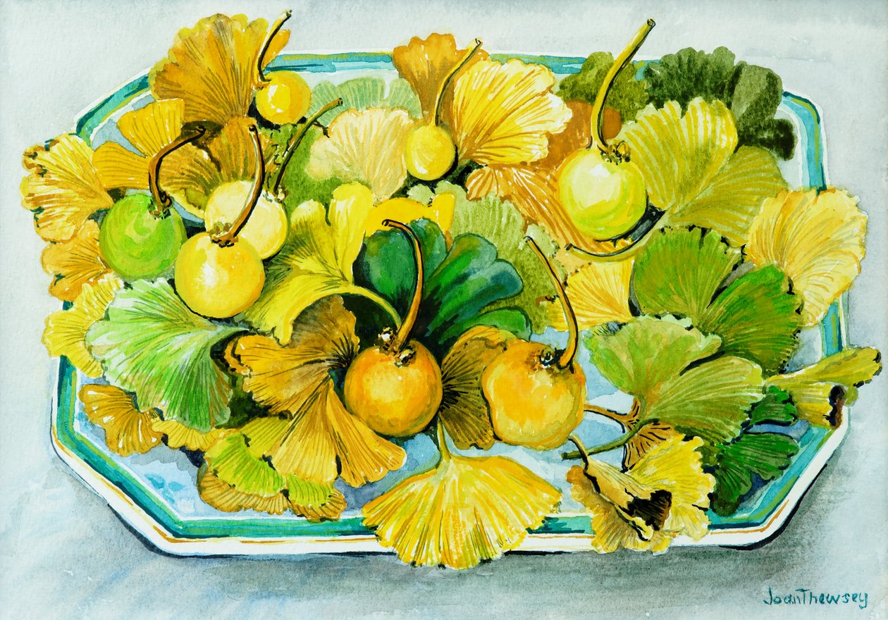 जिन्कगो, फल और पत्तियां, 2010, जल रंग द्वारा जोन थेवेसी
