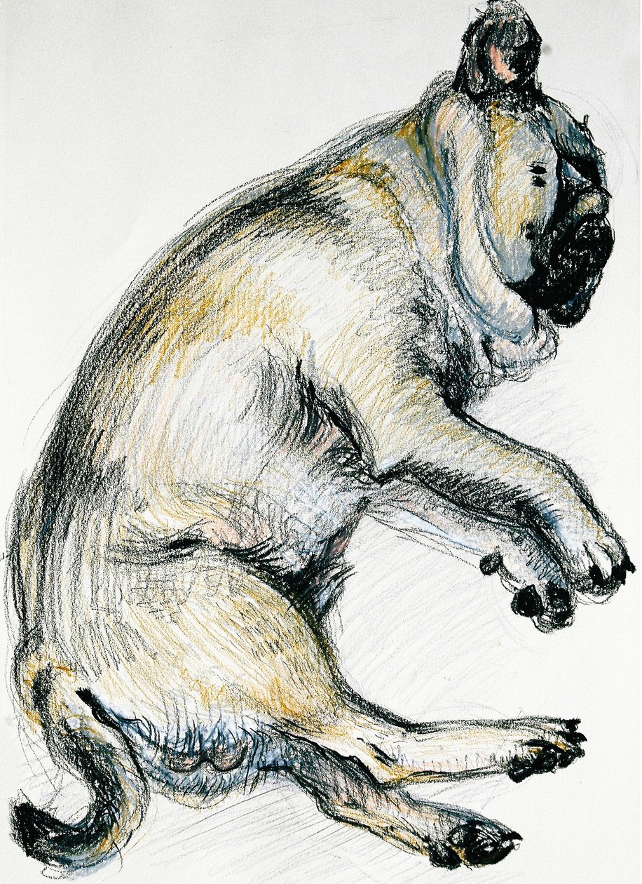 स्लीपिंग पग वन, 2000, (ऑयल पेस्टल) द्वारा जोन थेवेसी