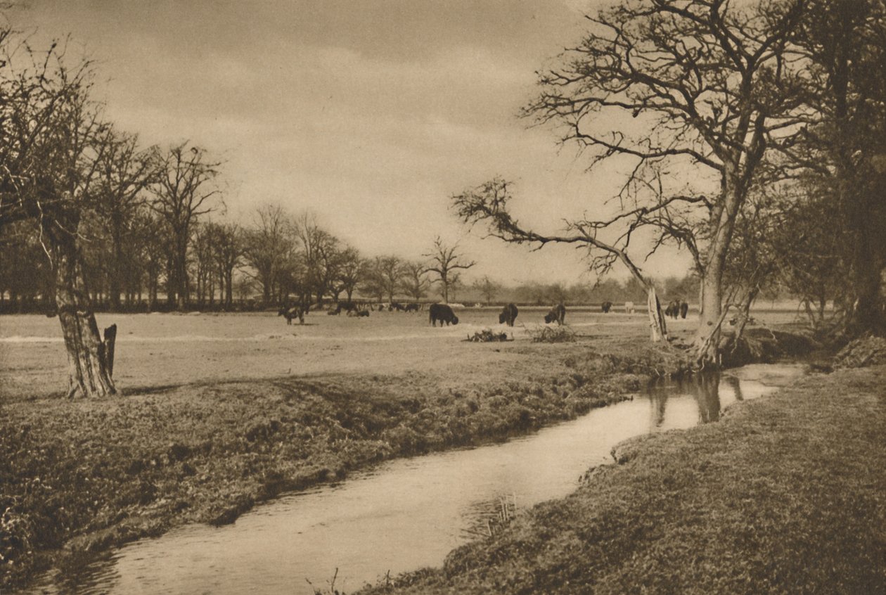 रिचमंड के रॉयल हंटिंग पार्क के माध्यम से बेवर्ली ब्रूक विंड, c1935। द्वारा जोएल