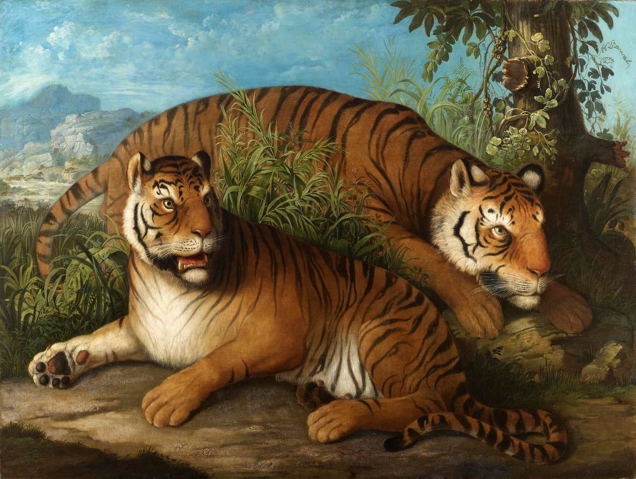 रॉयल बंगाल टाइगर्स द्वारा जोहान वेन्जेल पीटर