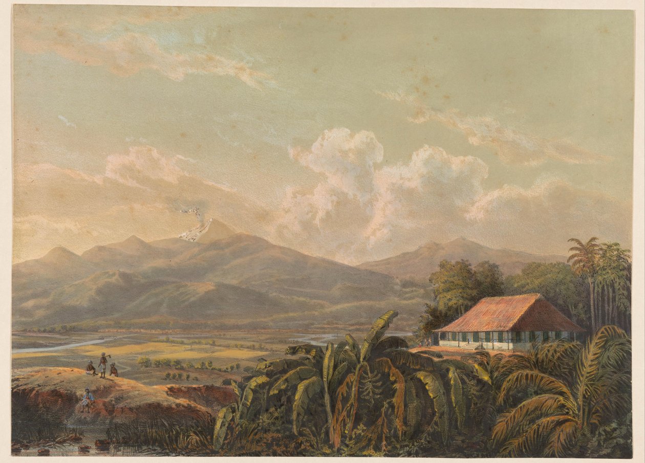  द्वारा जोहान कॉनराड ग्रीव
