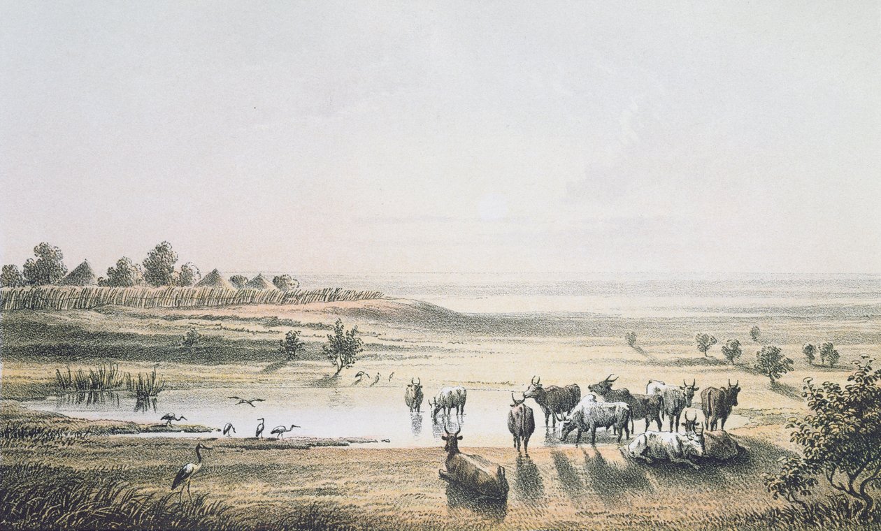 1851 में चाड की सीमाएँ, उत्तर और मध्य अफ्रीका में &39;ट्रैवल्स एंड डिसर्विसज़&39; से, हेनरिक बर्थ द्वारा जे। वोल्फजेल द्वारा उत्कीर्ण, 1857 (रंग उत्कीर्णन) द्वारा जोहान मार्टिन बर्नट्ज