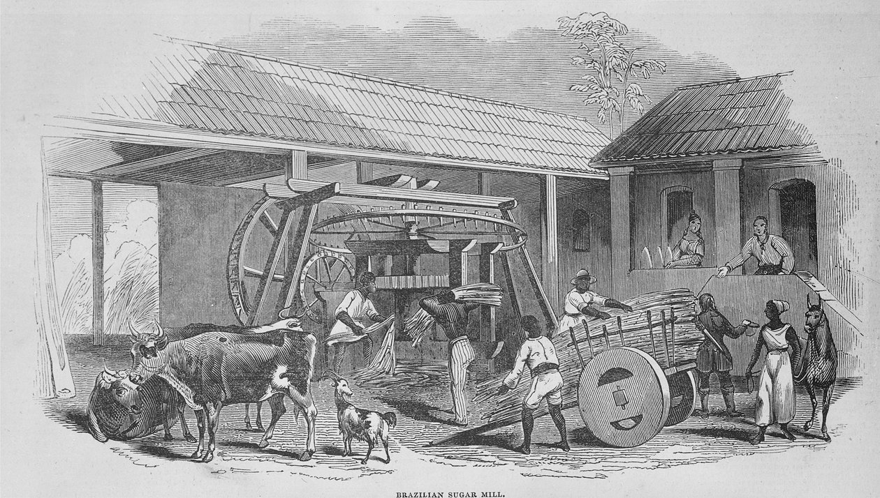 चीनी मिल, c.1835 द्वारा जोहान मोरित्ज़ रुगेंडास