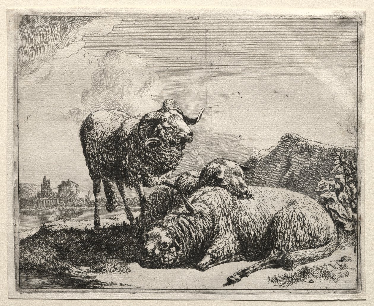 राम और दो भेड़, 1665। द्वारा जोहान हेनरिक रोज
