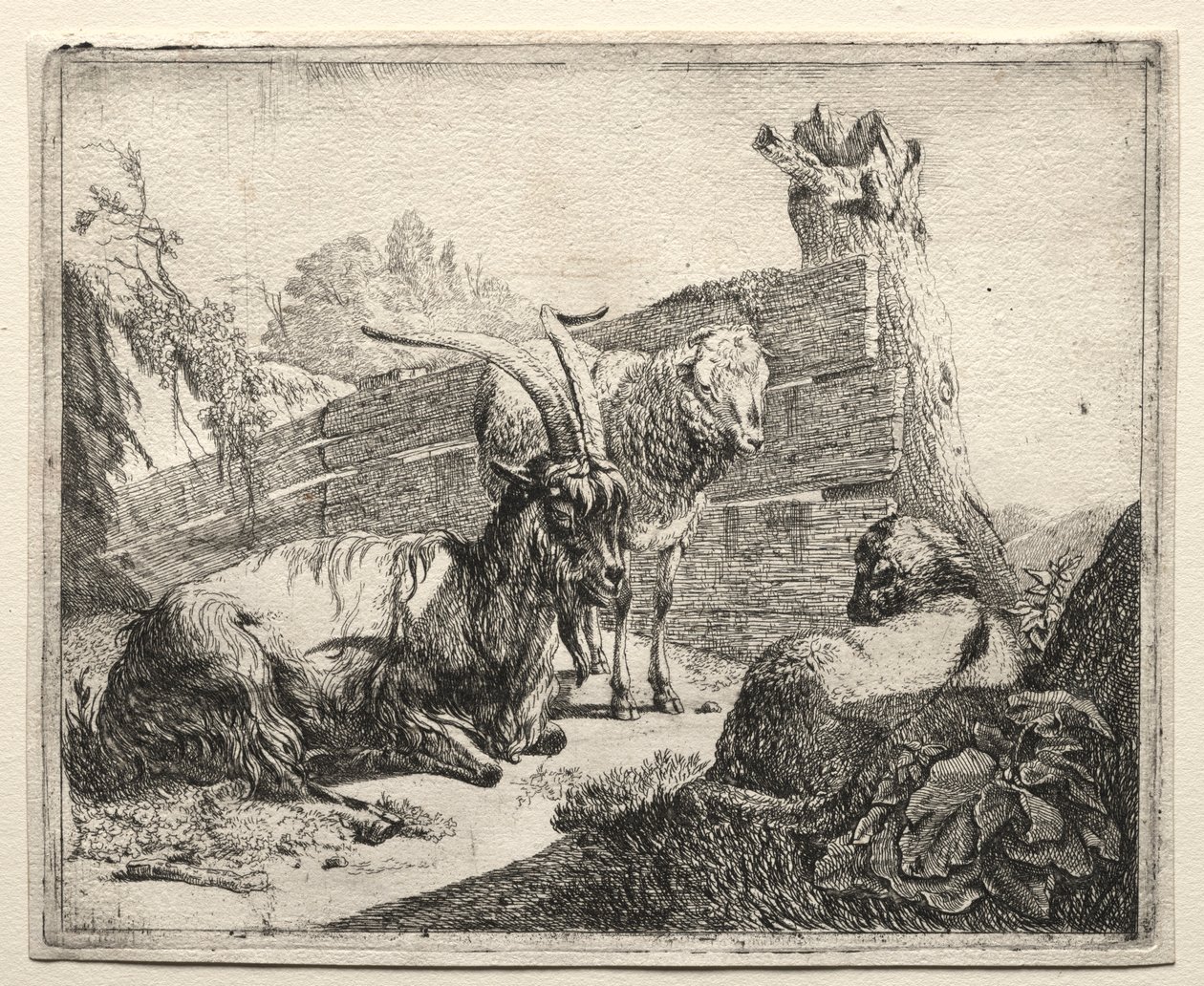 हेजेरो, 1665। द्वारा जोहान हेनरिक रोज
