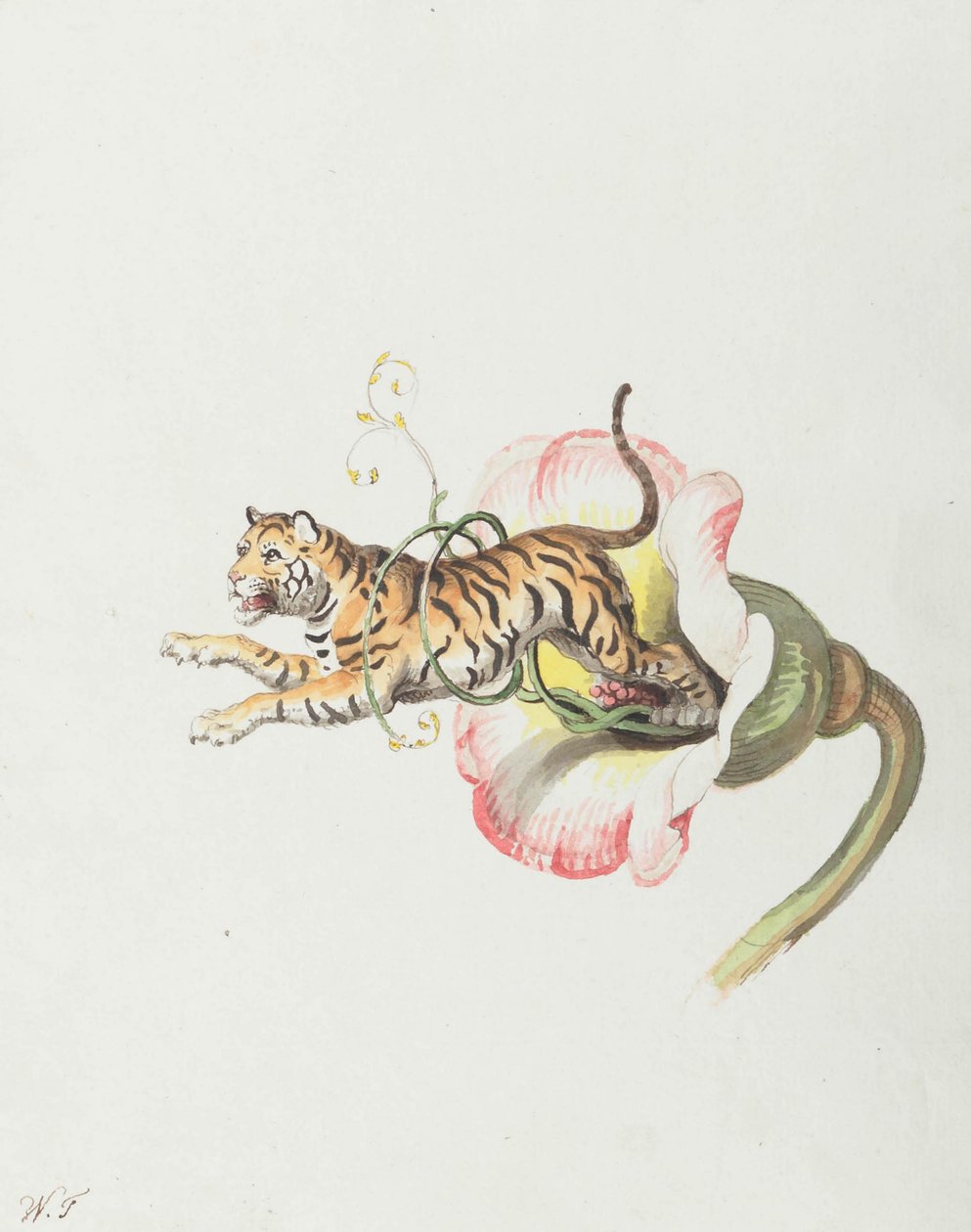 एक फूल के मुकुट से कूदता टाइगर। फूल के बीज पर रूपक, 1817। द्वारा जोहान हेनरिक विल्हेम टिस्किन