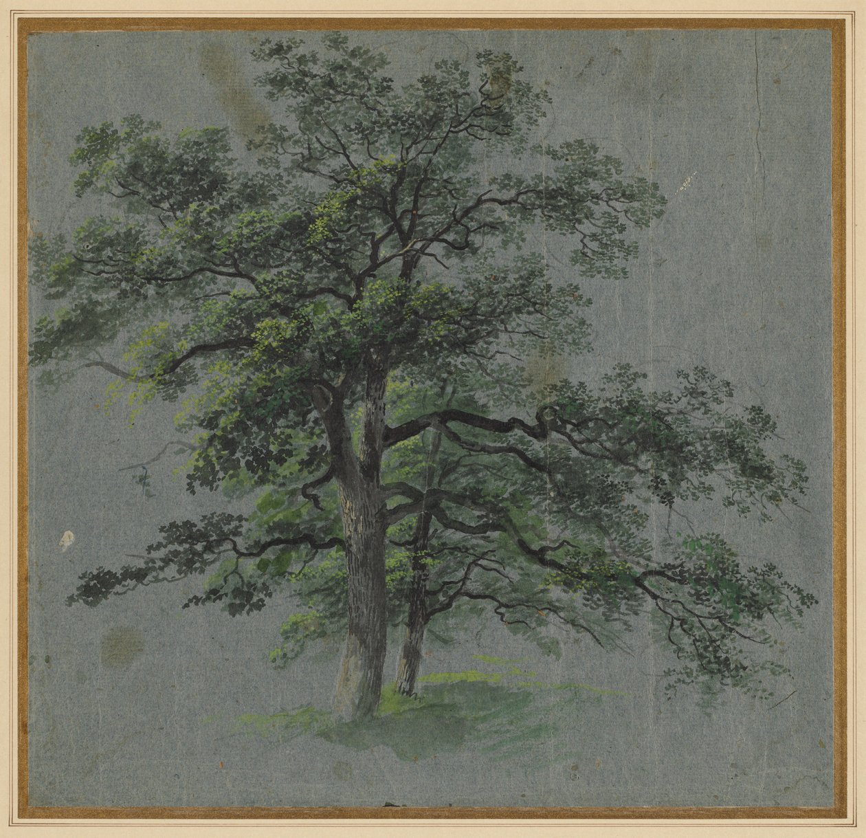 दो पेड़, पहली छमाही 1800s। द्वारा जोहान जैकब डोर्नर