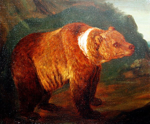 लैंडस्केप में एक भूरा भालू, c.1719 (कैनवास पर तेल) द्वारा जोहान Melchior Roos