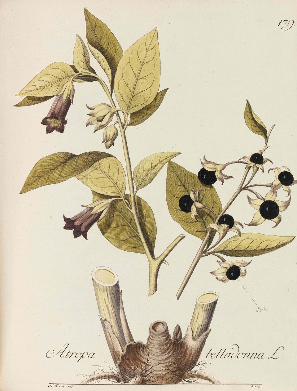 सभी आर्थिक संयंत्रों का चित्रण, 1786-1788। द्वारा जोहान साइमन वॉन कर्नेर
