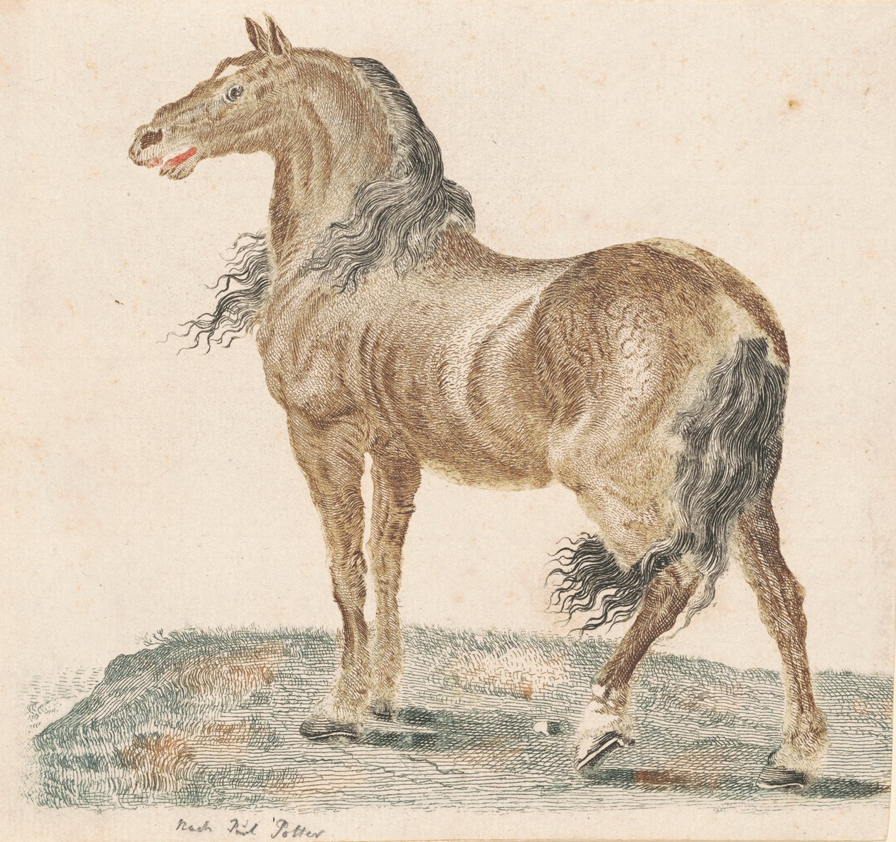 द नेइंगिंग हॉर्स, 1690s। द्वारा जोहान टायलर