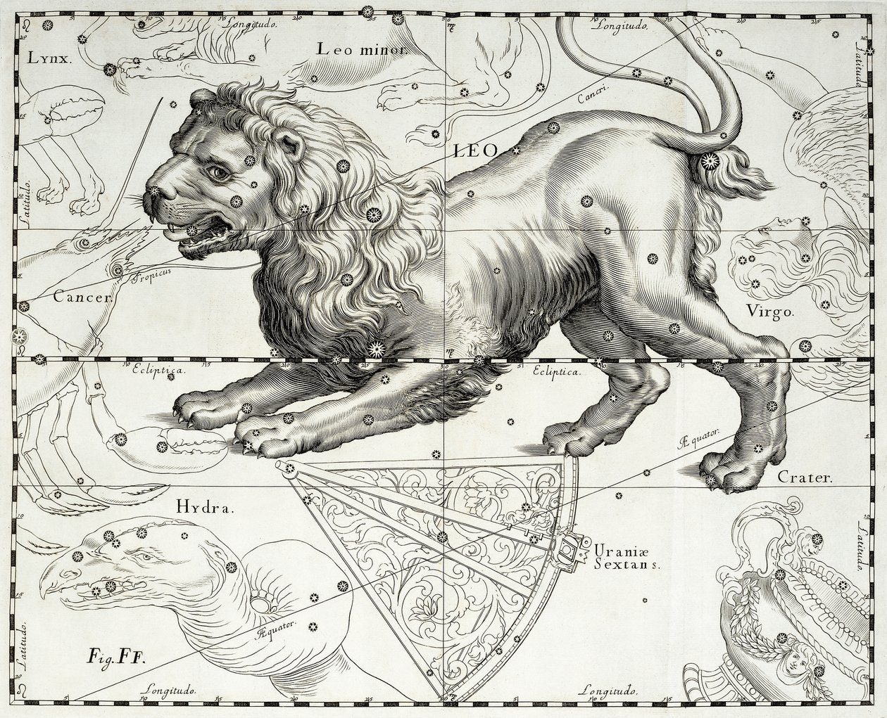 सिंह, सिंह का राशि चक्र नक्षत्र, जोहान हेवेलियस (1611-1687) स्टार एटलस से लिया गया चित्रण द्वारा जोहान्स हेवेलियस