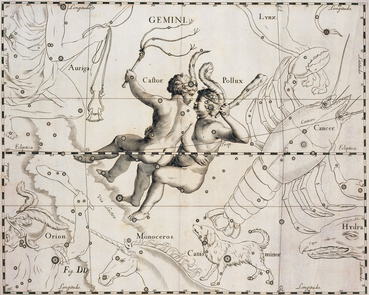 जेमिनी का नक्षत्र, जोहान हेवेलियस (1611-1687), डांस्क 1690 द्वारा फर्ममेंटम सोबिसियनम या यूरेनोग्राफिया से चित्रण द्वारा जोहान्स हेवेलियस