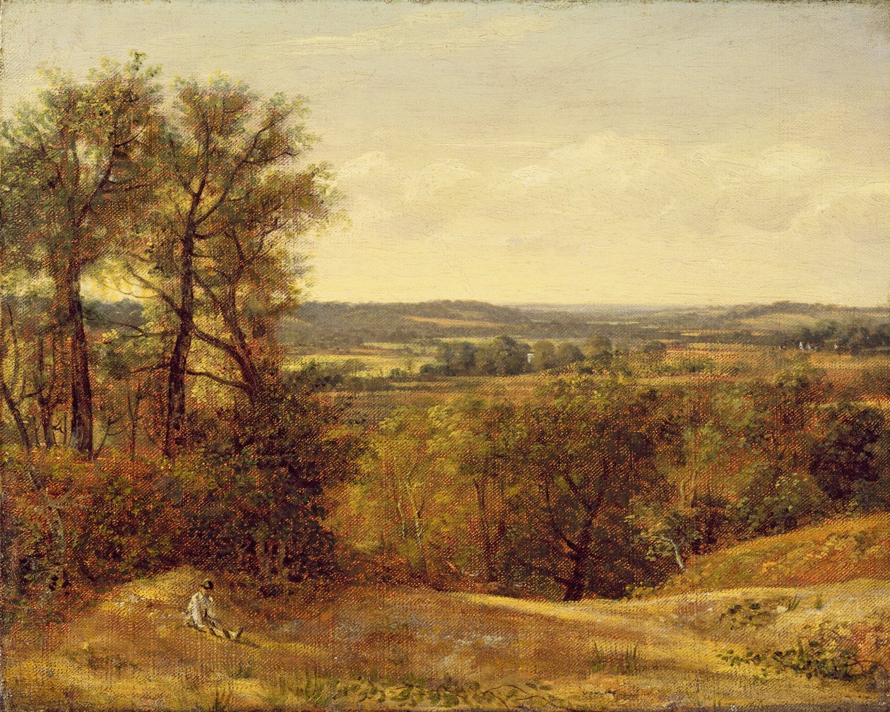 Dedham Vale, c.1802  द्वारा जॉन कांस्टेबल