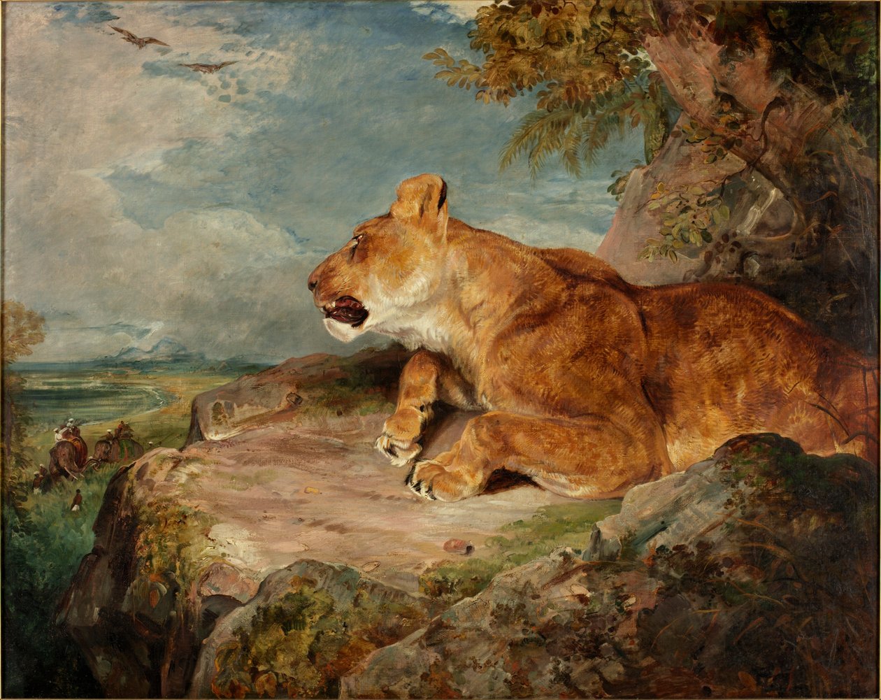 द शेरनी, c.1824-27 द्वारा जॉन फ्रेडरिक लुईस