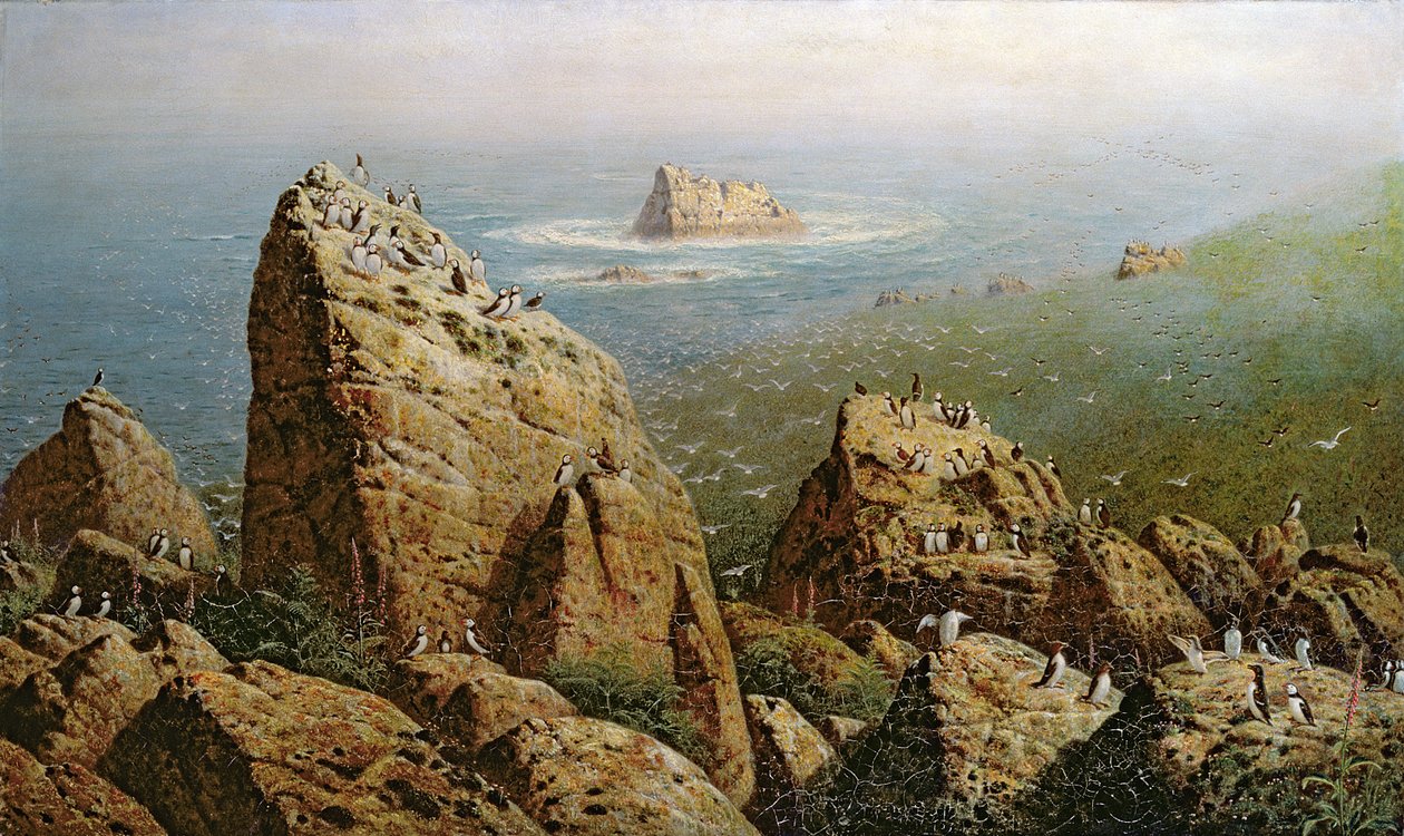 ल्यूडी द्वीप पर पफिंस द्वारा जॉन जॉर्ज नाइश
