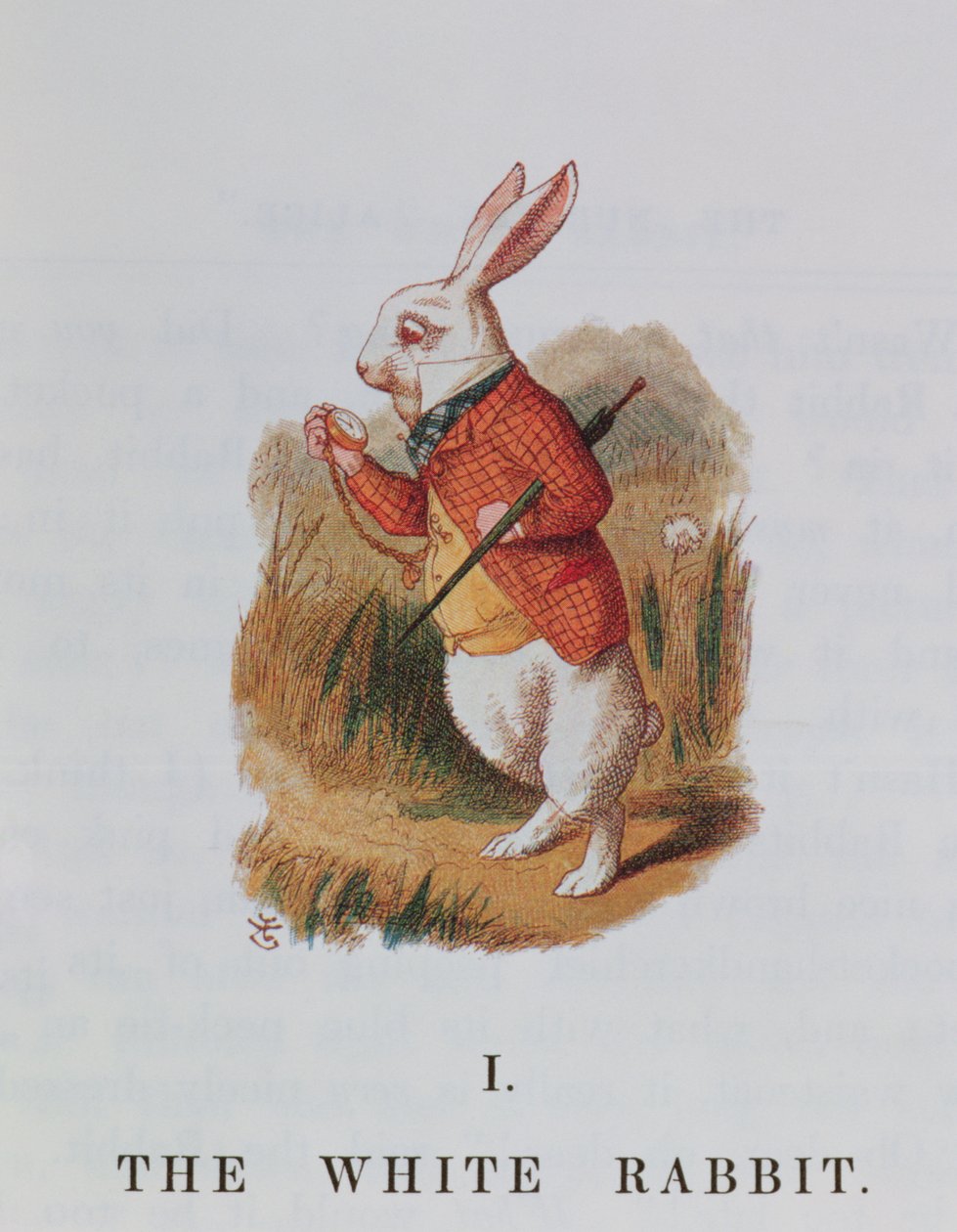 द व्हाइट रैबिट, लुईस कैरोल (1832-98) के एलिस इन वंडरलैंड का चित्रण एमिली गर्ट्रूड थॉमसन (d.1932) 1889 द्वारा अनुकूलित द्वारा जॉन टेनिएल