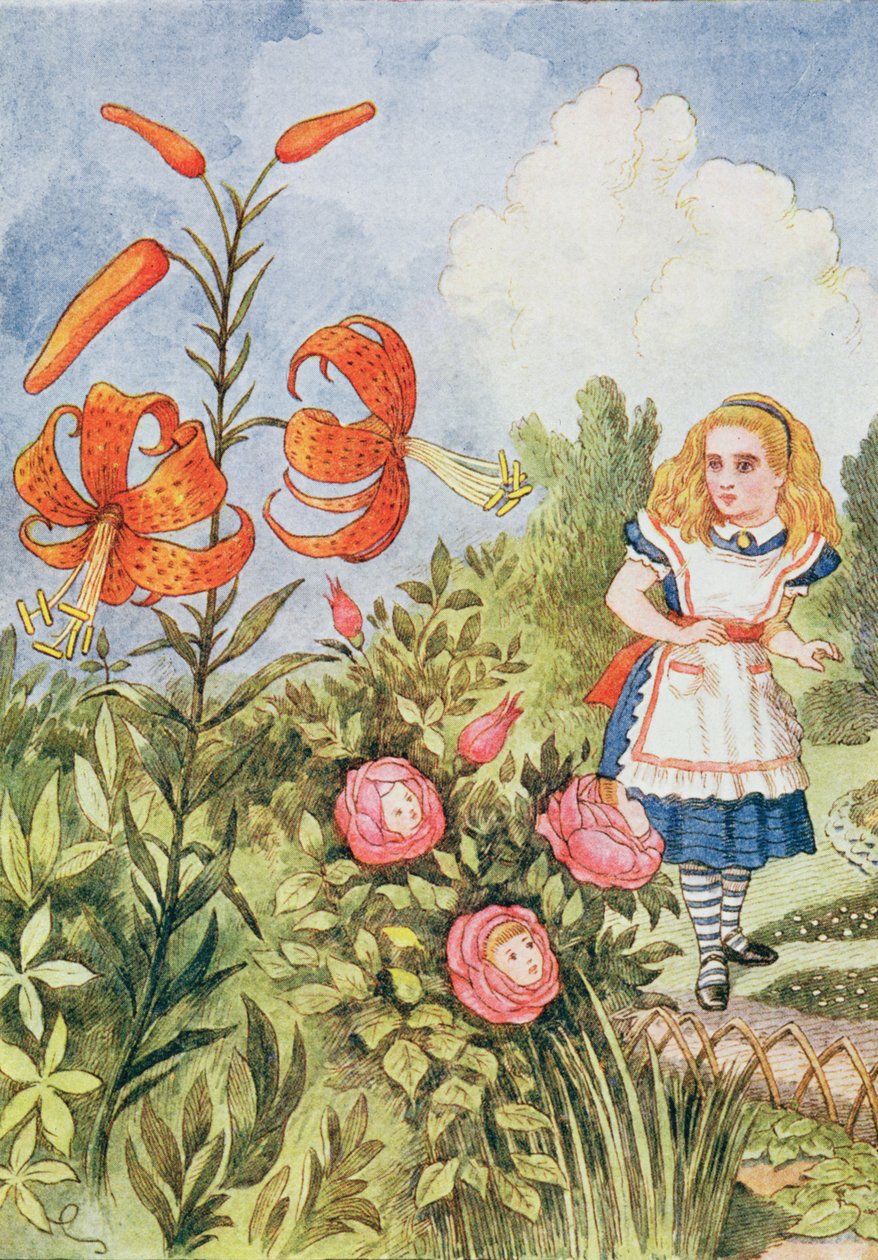 टाइगर लिली, लुईस कैरोल द्वारा &39;द लुकिंग ग्लास&39; से (1832-98) द्वारा जॉन टेनिएल