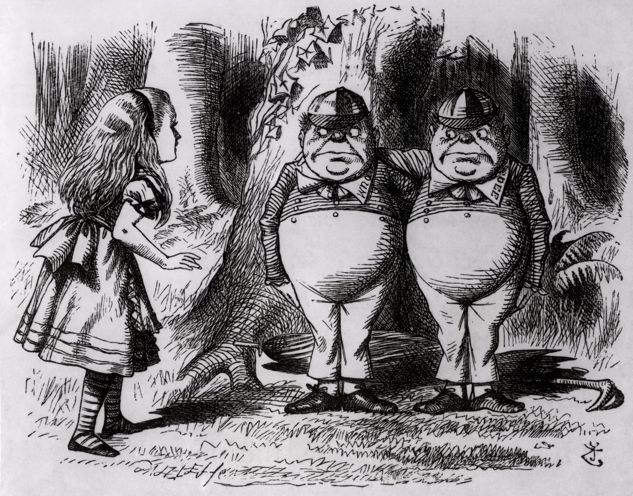 ट्वीडेलम और ट्वीडलेडी, लुईस कैरोल द्वारा 1872 में &39;थ्रू द लुकिंग ग्लास&39; का चित्र द्वारा जॉन टेनिएल