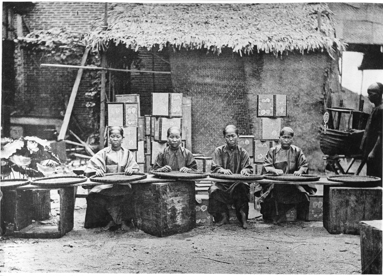 कैंटन में चाय की चुस्की, c.1872 द्वारा जॉन थॉमसन