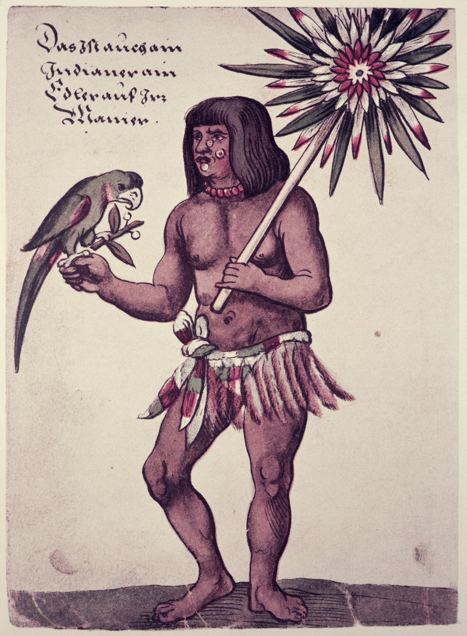 अमेज़ॅन इंडियन, थियोडोर डी ब्राय द्वारा उत्कीर्ण (1528-98) द्वारा जॉन व्हाइट